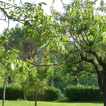 Casa Tiglio Holiday home Pratovecchio