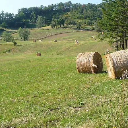 Holiday home Casa Tiglio *
